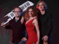 Band GoEttingen- Alleinunterhalter DUO TRIO - kleine Band