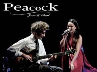 Band Graz Peacock Bild 1